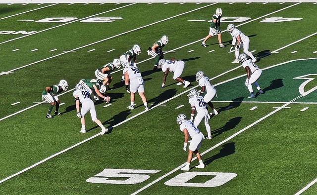 项目的协调 项目的协调