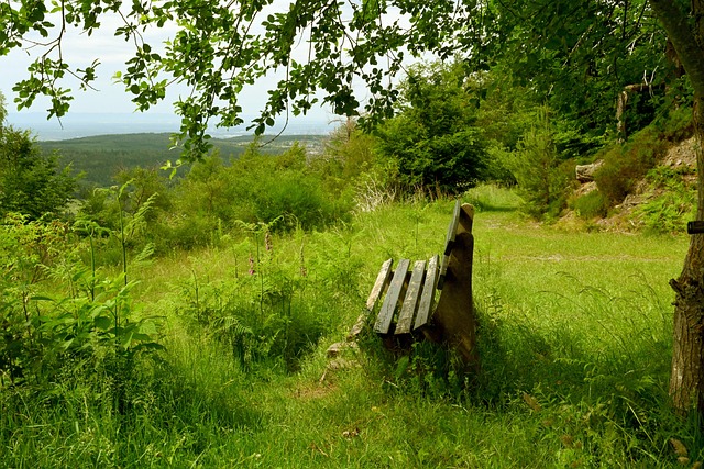 而通过对案 而通过对案
