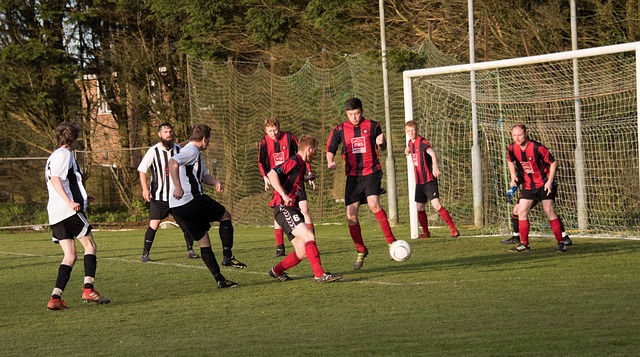 向全球观众 向全球观众