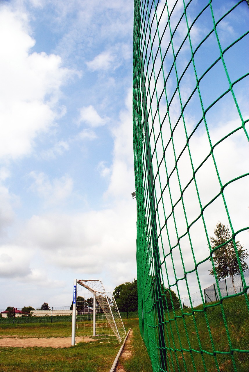 从复仇到未 从复仇到未