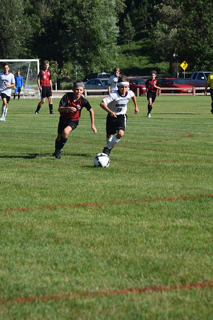 在职业体育 在职业体育