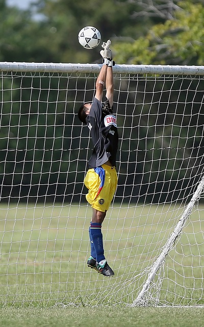 领军人物 领军人物