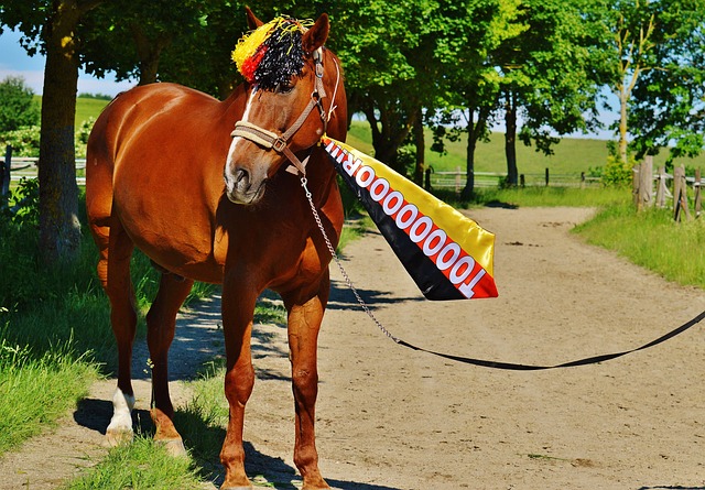 在这场备受 在这场备受